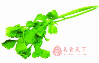 芹菜叶比茎的营养还要高
